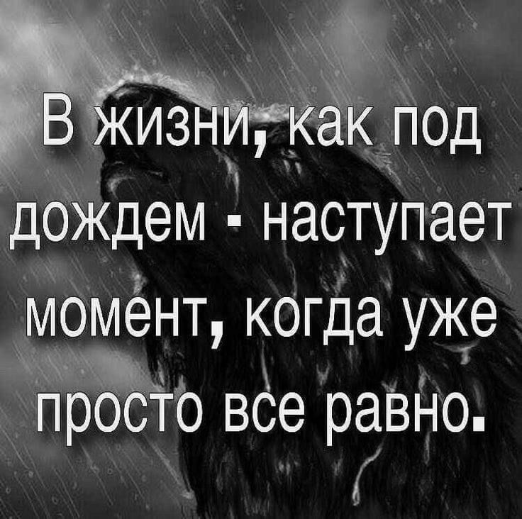 В жизни как под дождем наступает момент когда уже просто все равно картинки