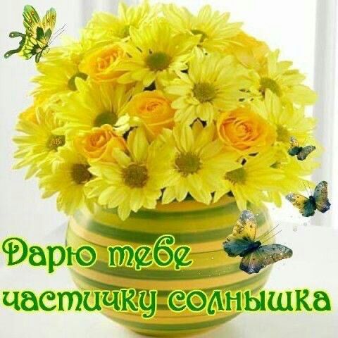 Чаетиакф соднышка