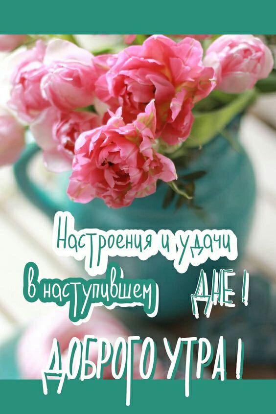 Цёатгоенця ч Удщчц нцетупчЁЁиеги