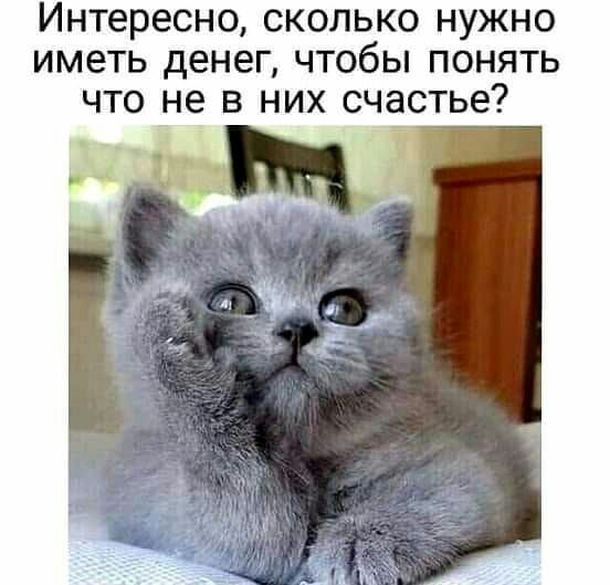 Интересно сколько нужно иметь денег чтобы понять что не в них счастье