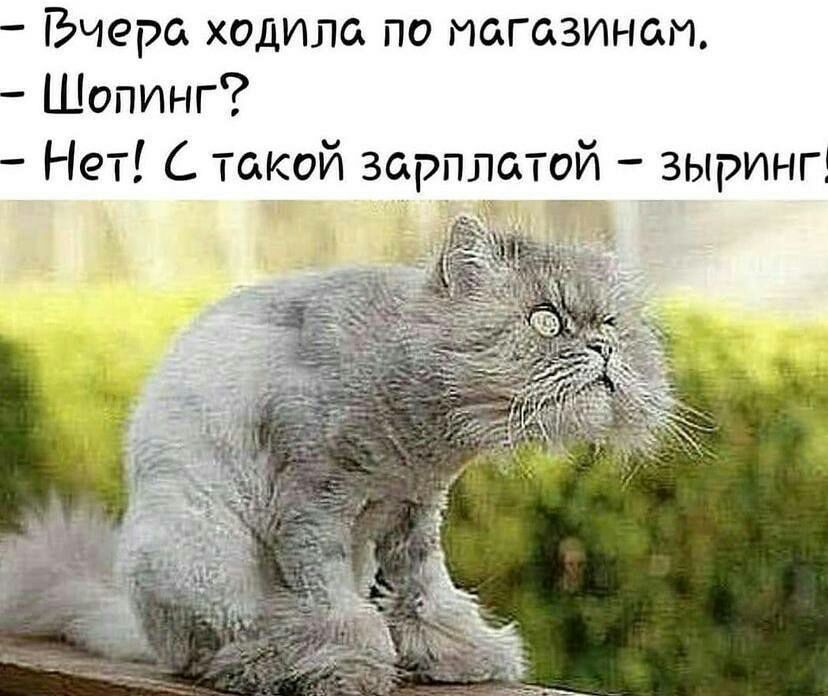 Вчера ходила по магазинам Шопинг Нет такой зарплатой зыринг н