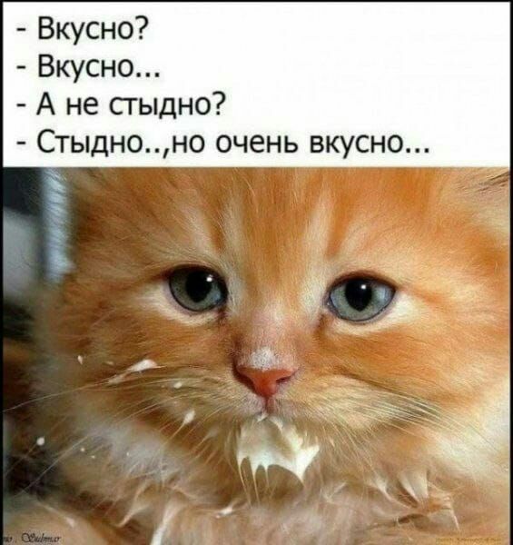 Вкусно Вкусно А не сгыдно Стыдноно очень вкусно
