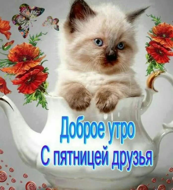 СпятнирЦей друзья 52 А Ц