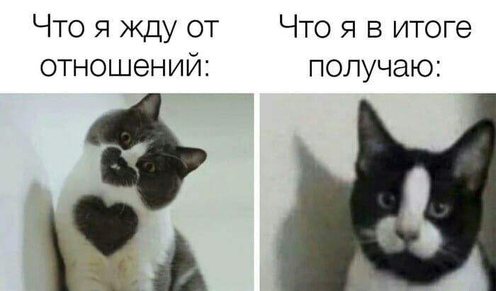Что я жду от Что я в итоге отношений получаю д