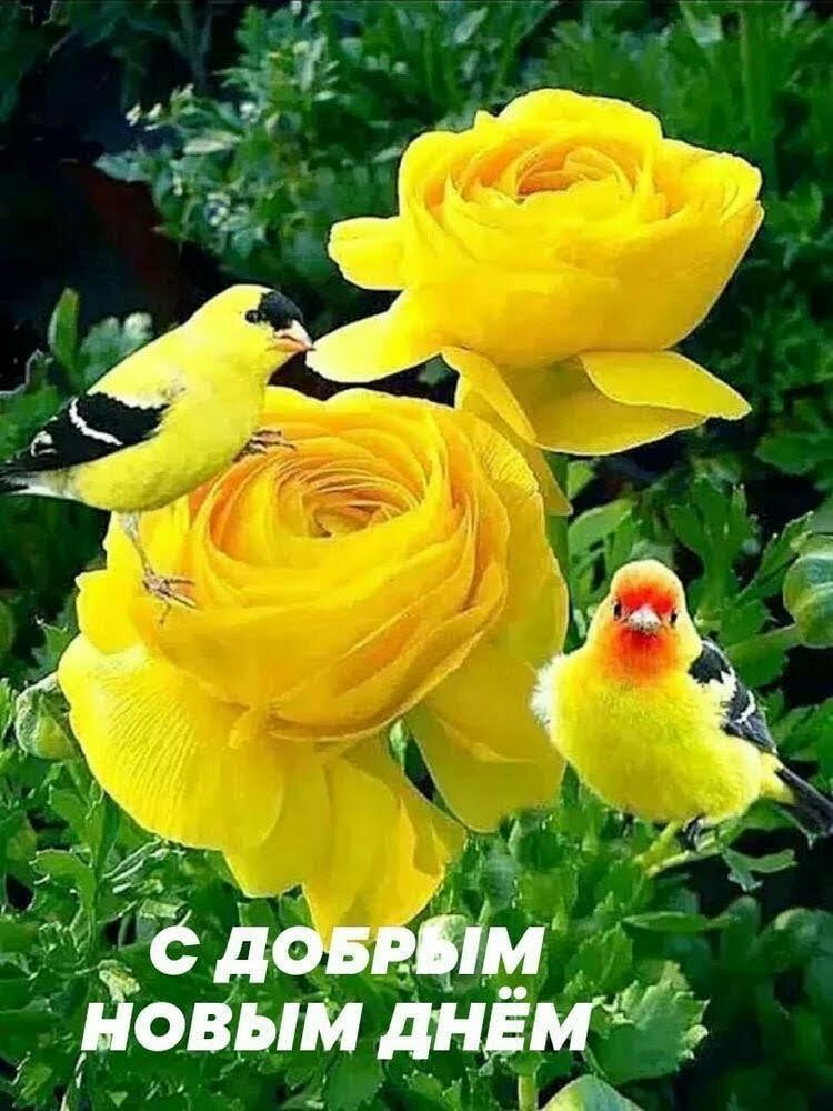 Г _