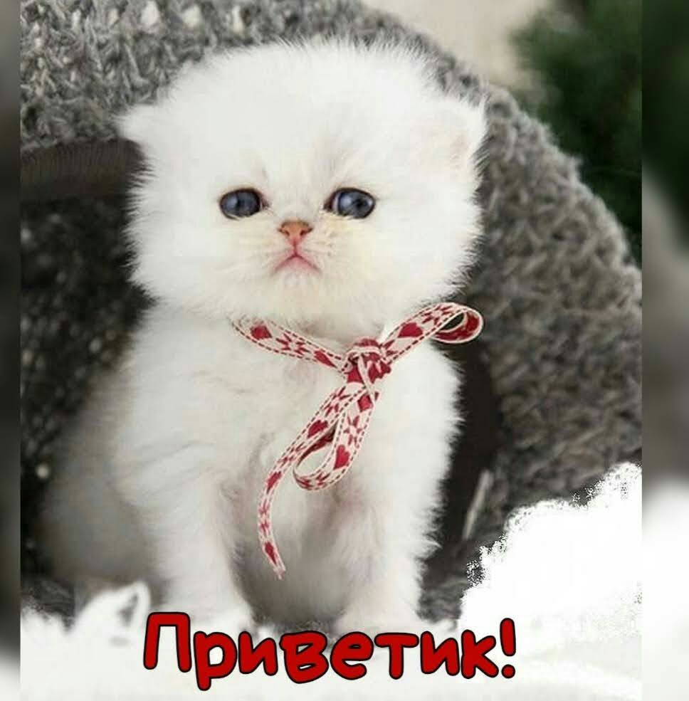 'п