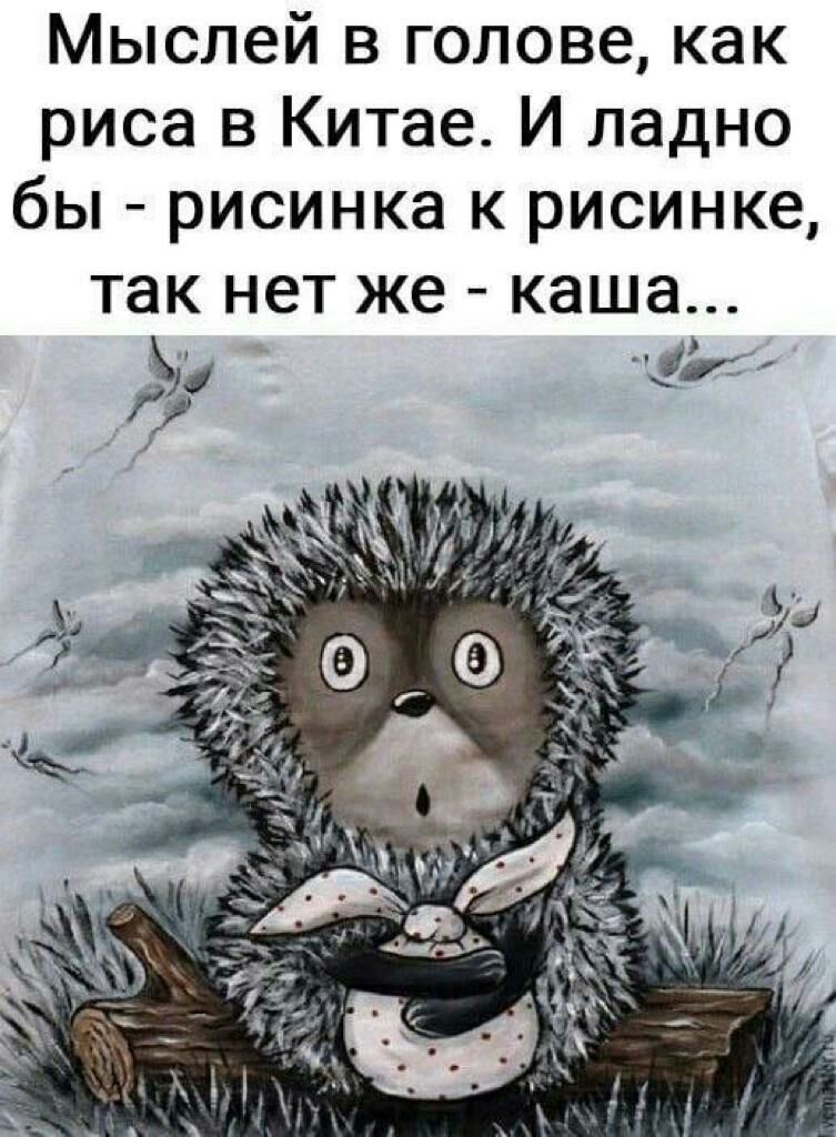 Мыслей в голове, как риса в китае. И ладно бы  рисинка к рисинке, так нет же  каша