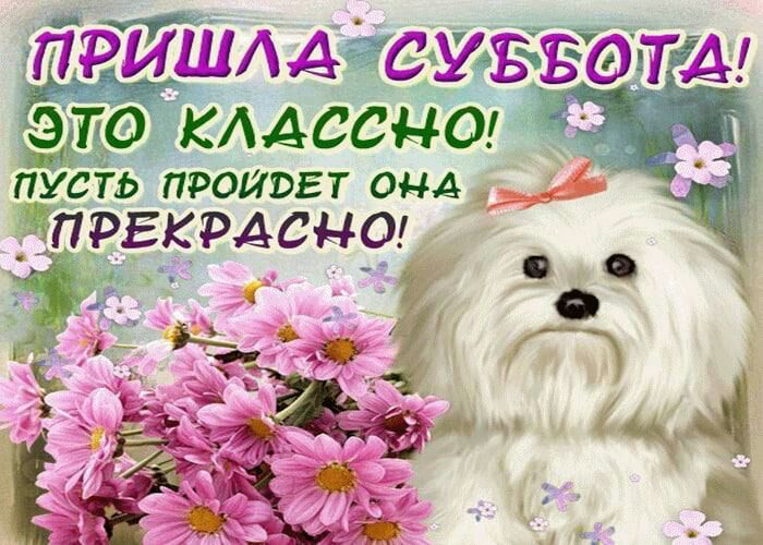 прыщщцсижтді ПУСТЬПРОИВЕТ онд дарымсна
