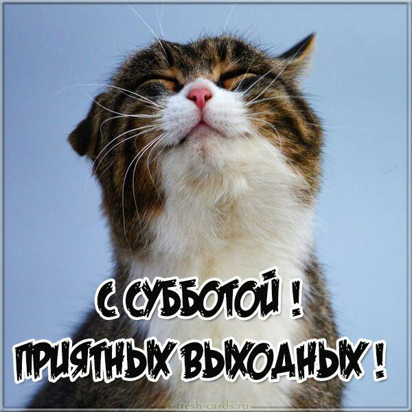 ПИН ЯТНЧКВЬКОАНЬЖ
