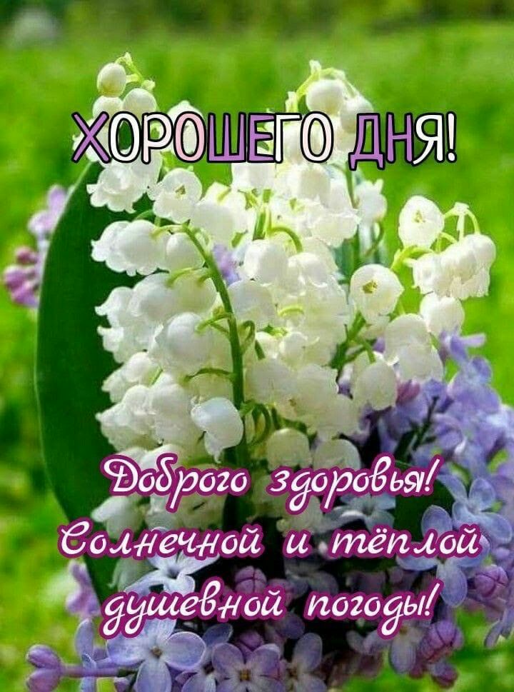 Ре ца 89 ной. Итёт«!'й;:'