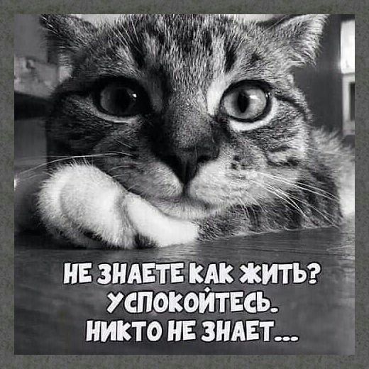 НЕ ЗНАЕТЕКАК ЖИТЬ СПОКОИТЕСЬ НИКТО НЕ ЗНАЕТ Ё Е 711