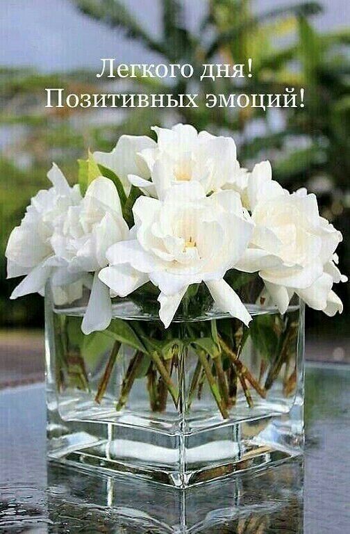 04 Дозитивныі ЭМЁЦИИ