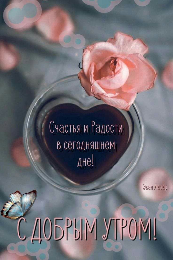 Счастья и Радоти всеголняшнем _ 7 Ежа Лшау