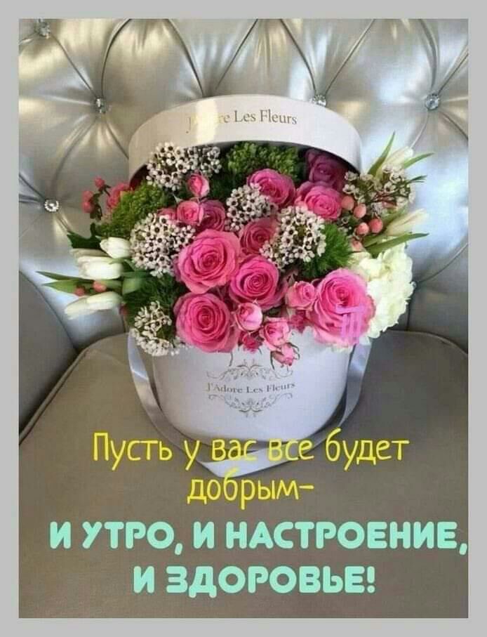 И УТРО И НАСТРОЕНИЕ И ЗДОРОВЬЕ