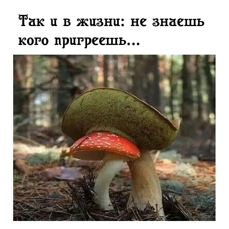 сРак в жизни не знаешь кого пригреешь