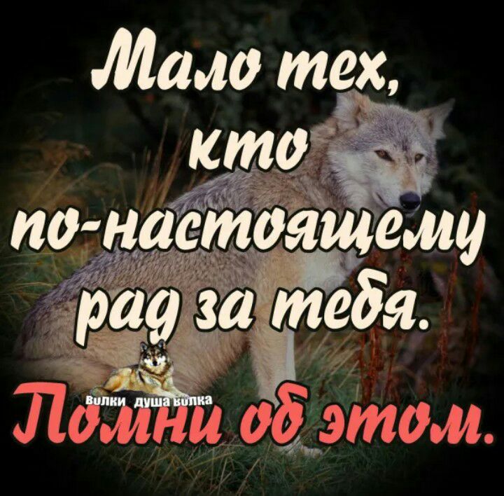 Мало тех