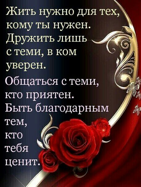 Жить нужно для тех КОМУ ты нужен Дружить лишь с теми в ком уверен Общаться с теми кто приятен Быть благодарным