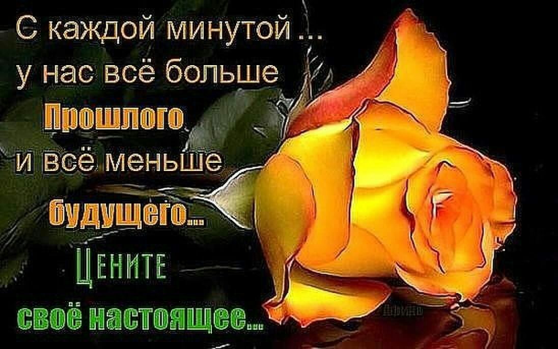 каждой минутой у нас всё больше 4;4  прошлого, зу  оё меные т й   9дущего в 'ёъ цените  и  ч своё настоящее. 9809