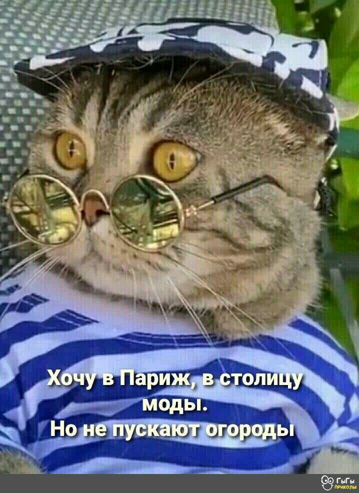 _ 73 3 А