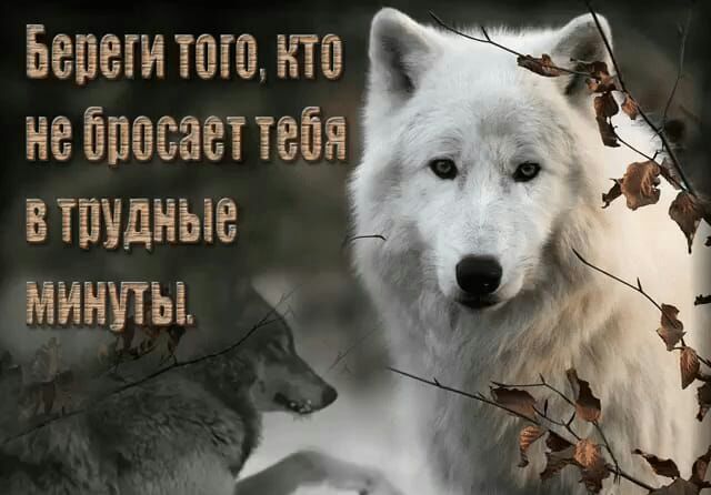 Ён Ён ___ из или іі Пи __3 в п _ям