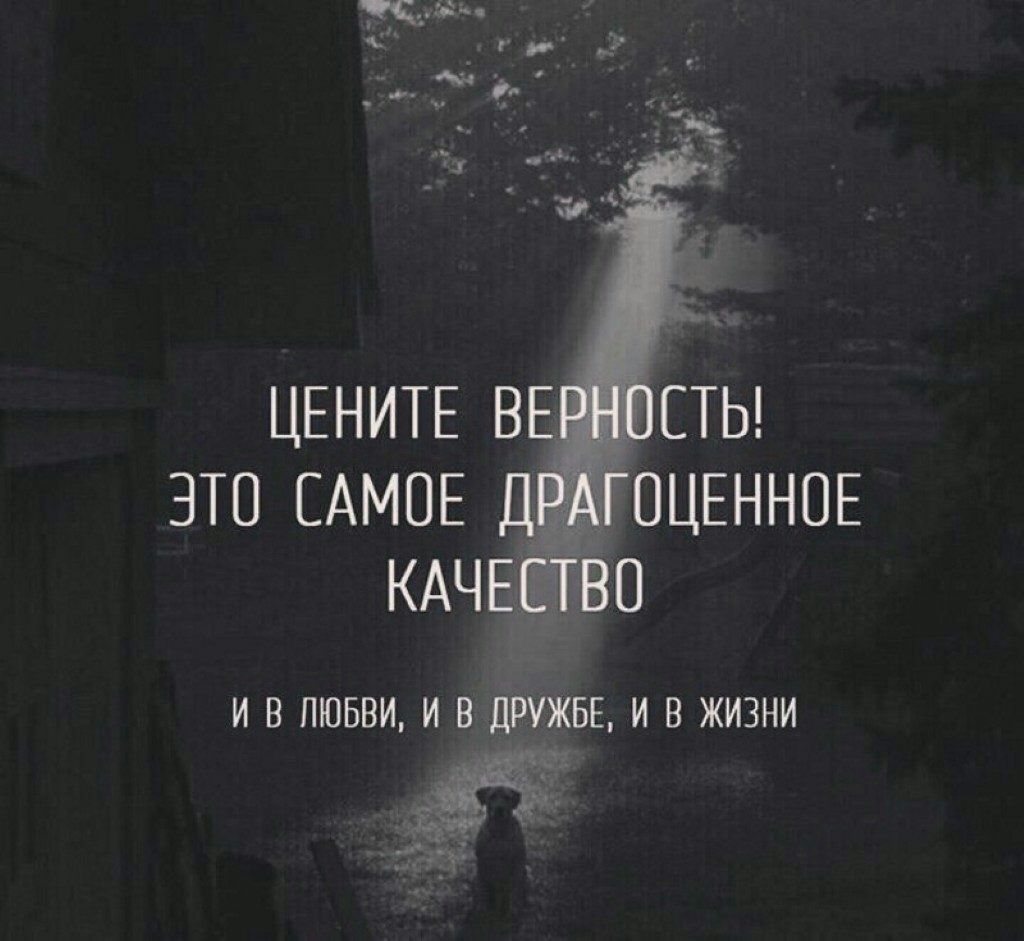 ЦЕНИТЕ ве ЁТЬ это САМОЕ цгх