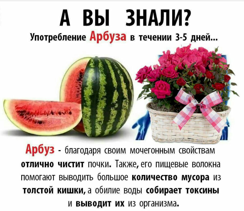 А ВЫ ЗНАЛИ Употребление в течении 3 5 дней б лагодаря своим мочегонным свойствам отлично чистит почки Также его пищевые волокна помогают выводить большое количество мусора из толстой кишкиа обилие воды собирает токсины и выводит их из организма