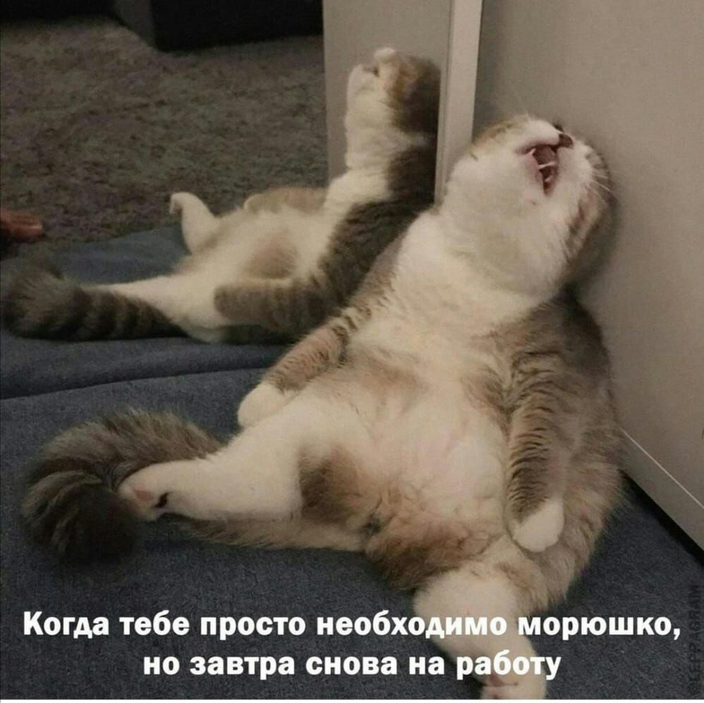0 завтра снова на