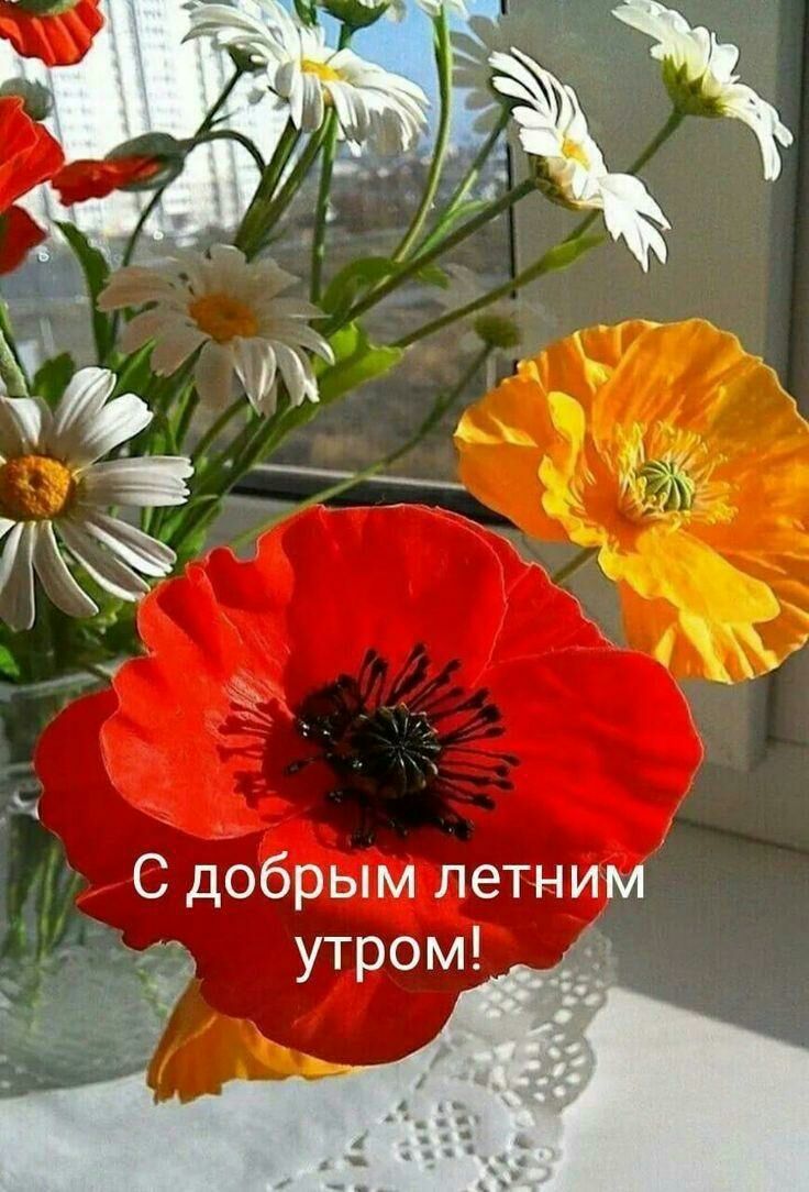 С добрым летним ёё утром!
