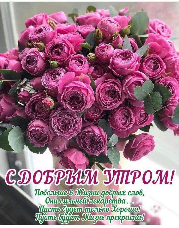 златом 1 добрых слаб А _ а ЭШРщ Зет Сиднь учрещоаена