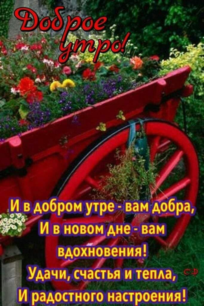 И в добром утре вам добра И в новом дне вам вдохновения Удачи счастья и тепяа И радостного настроения