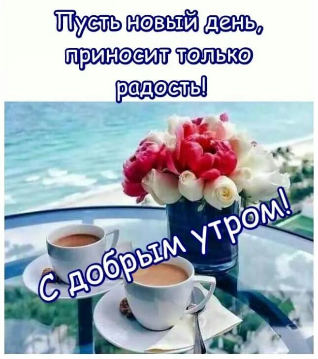 новый 0 ПРИНФёИТ ТОЛЬКФ