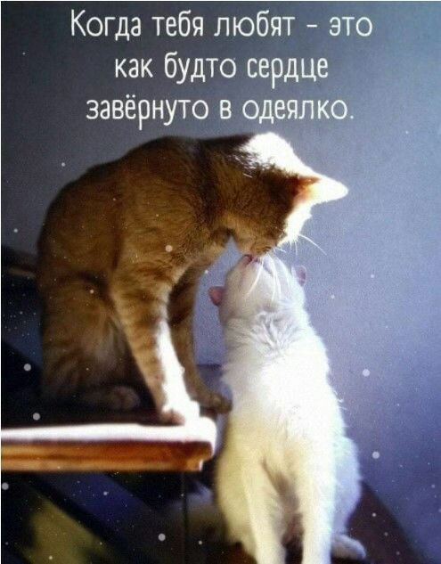 Когда тебя любят это _ как будто сердце