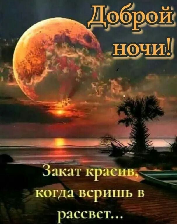 КОЦЦЯВСРИЦЦ18 рассвст