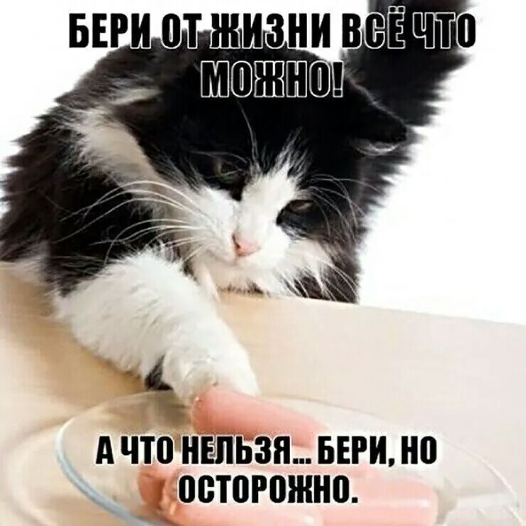 А что НЕЛЬЗЯ БЕРИ ПВТПРПШНП