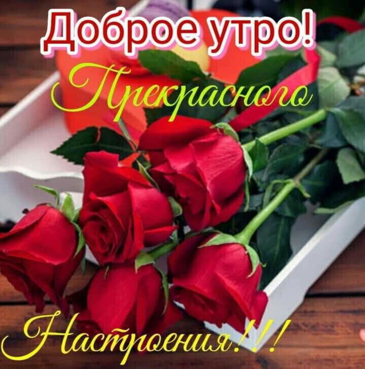 сиаск  ы  ъ ча