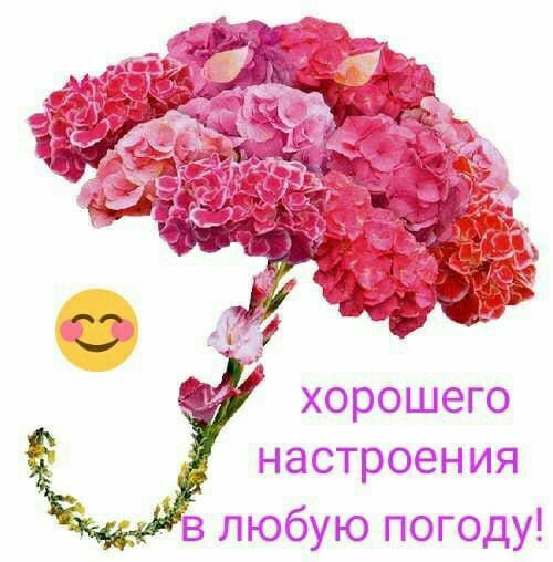 ХОРОШЕГО НдСТРОЭН ИЯ в любую погоду