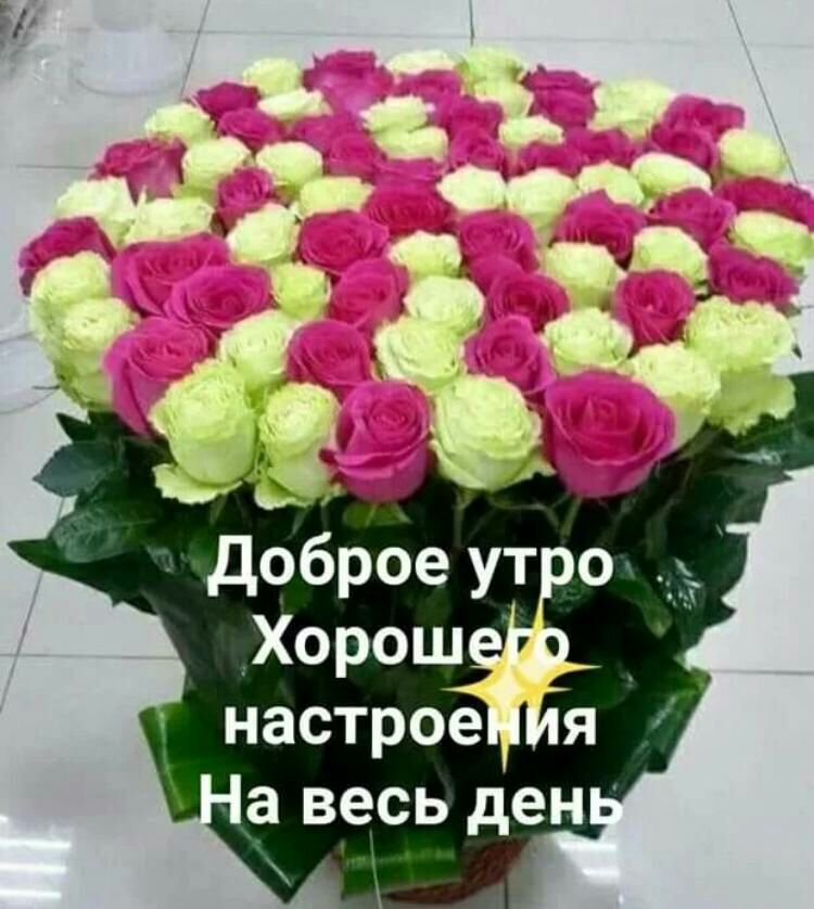 _ доброе ут о _Хорош _ настрое я а весь ден