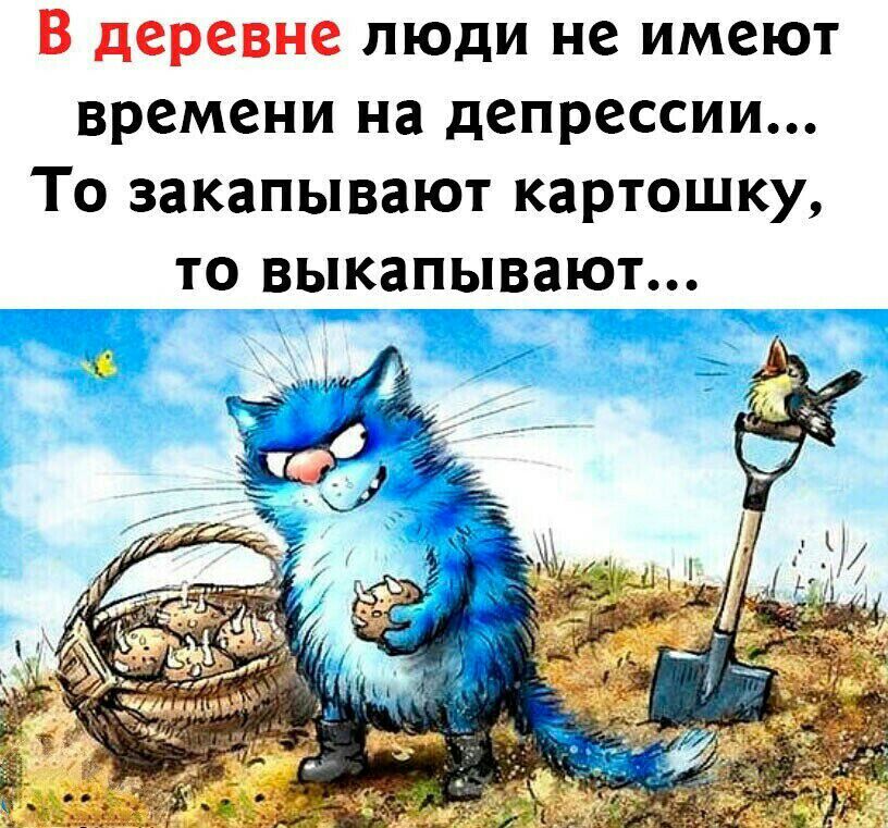 В деревне люди не имеют времени на депрессии То закапывают картошку то вьікаиьизают ТГТіп