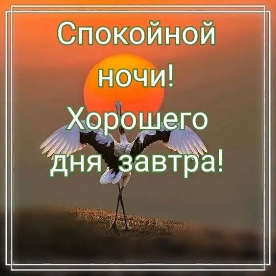 иной О К О П С и П Н