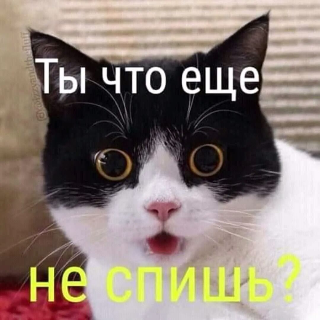 Ты что еще _
