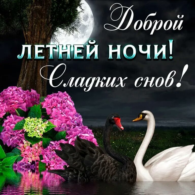 ЛЕТНЕЙ ночи шути тюб 34 73