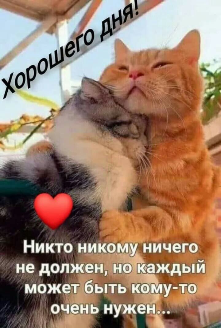 Никто никому ничего не должен нэт каждый может быть каму то очень нужец