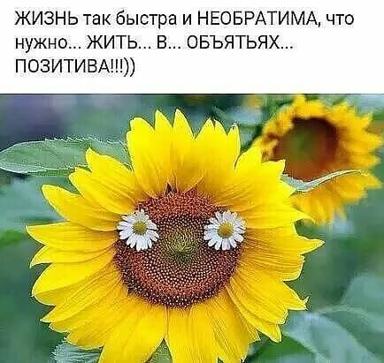 ЖИЗНЬ так быстра и НЕОБРАТИМА что нужно ЖИТЬ В ОБЪЯТЬЯХ ПОЗИТИВА