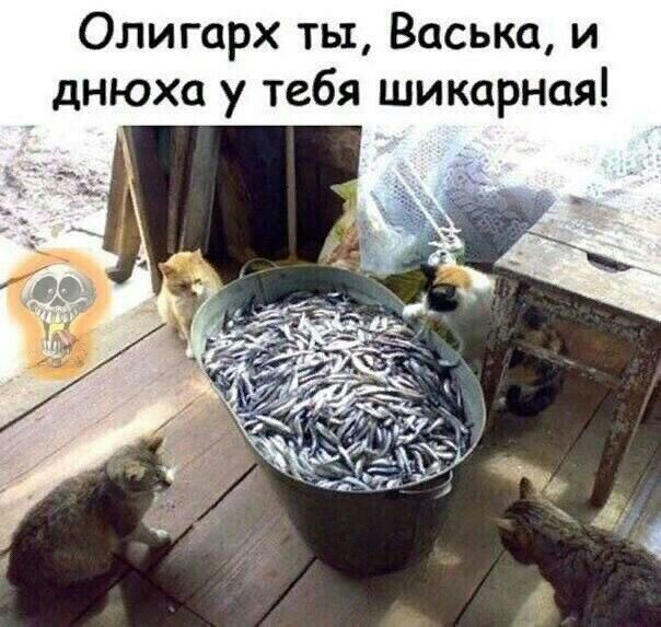 Олигарх ты Васька и днюха у тебя шикарная