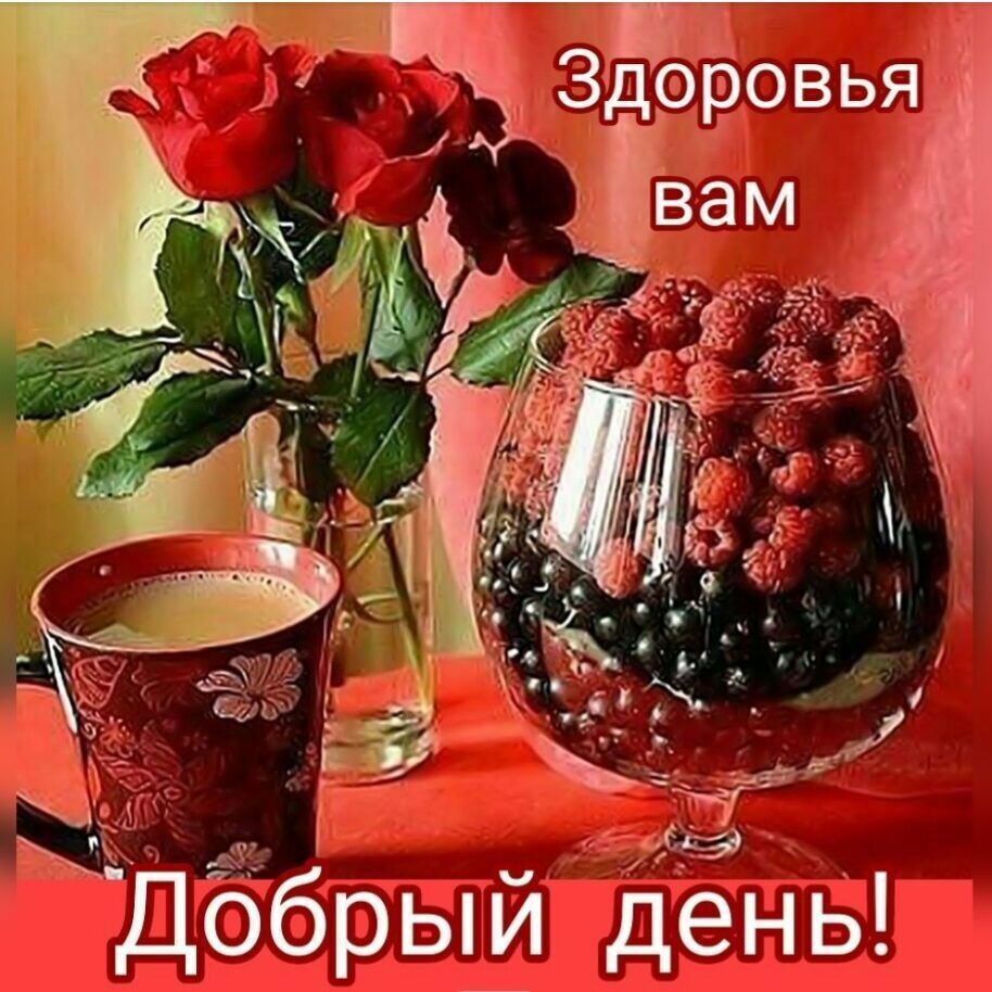 Ы  добрыйт 81 ень!