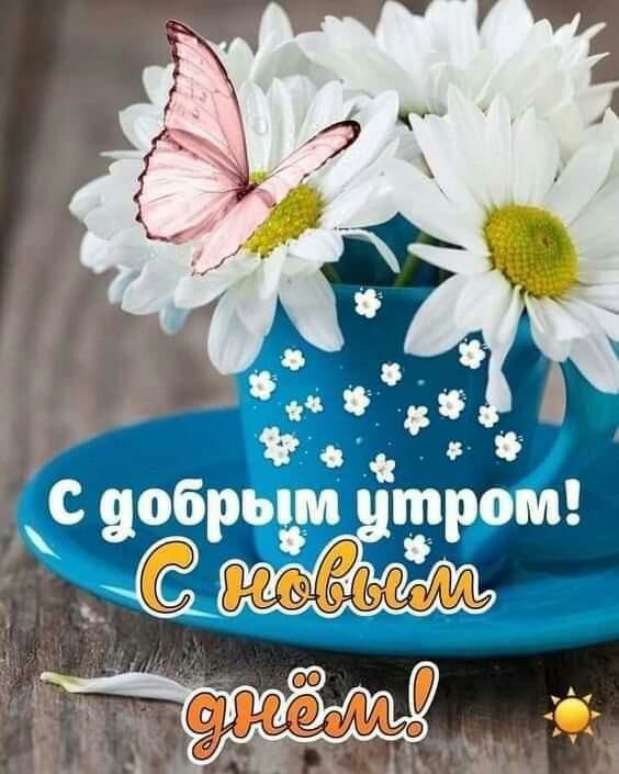 С с добрым тром и ч О
