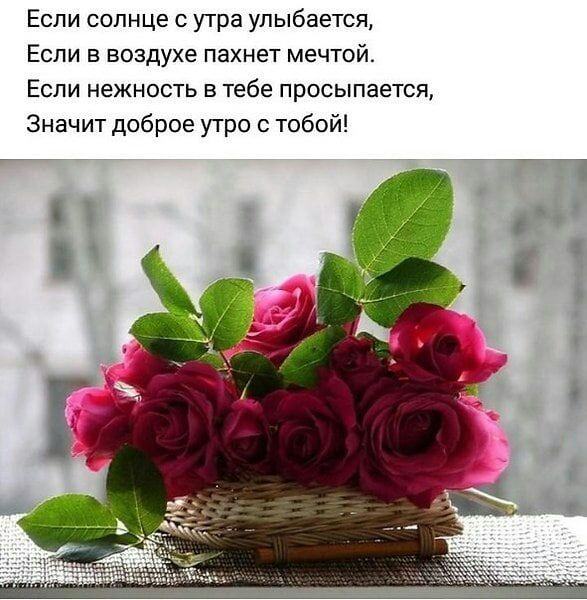 Если солнце утра улыбается Если в воздухе пахнет мечтой Если нежность в тебе просыпается Значит доброе утро с тобой