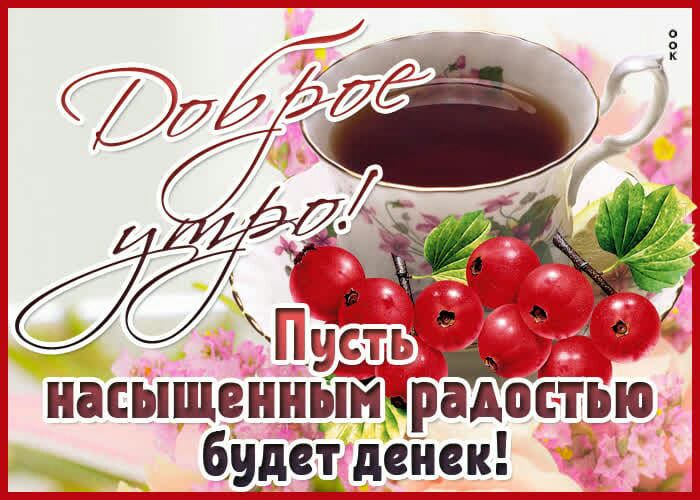 _ насыщенны биде видів арадоЁтЁью денек _