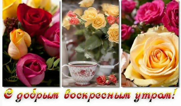 добрып доскресдш утрат