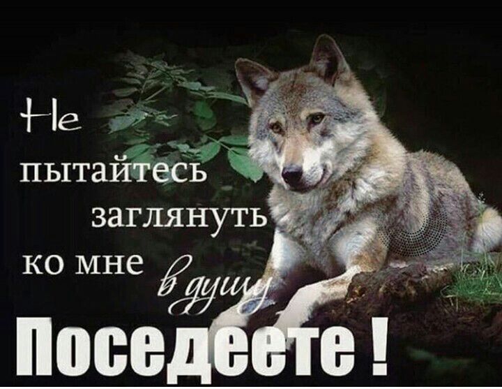 Не  пытайтесь ' заглянуть   ко мне  й.